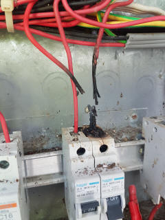 Burnt wires on CB